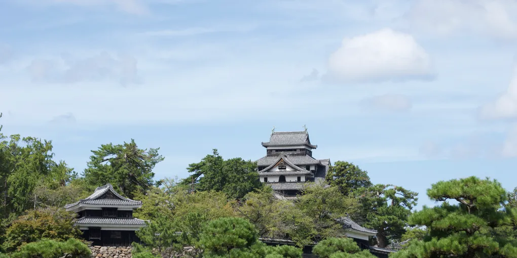 分子科学討論会2026