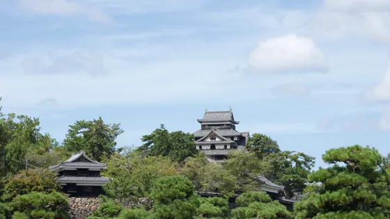 分子科学討論会2026