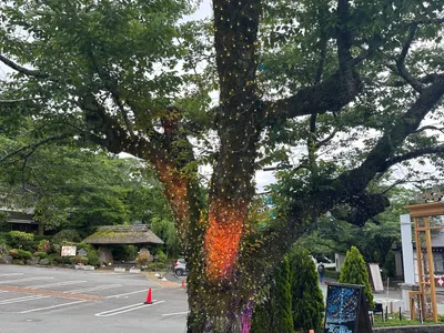 ワークショップの様子 9
