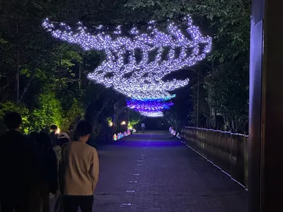 ワークショップの様子 21
